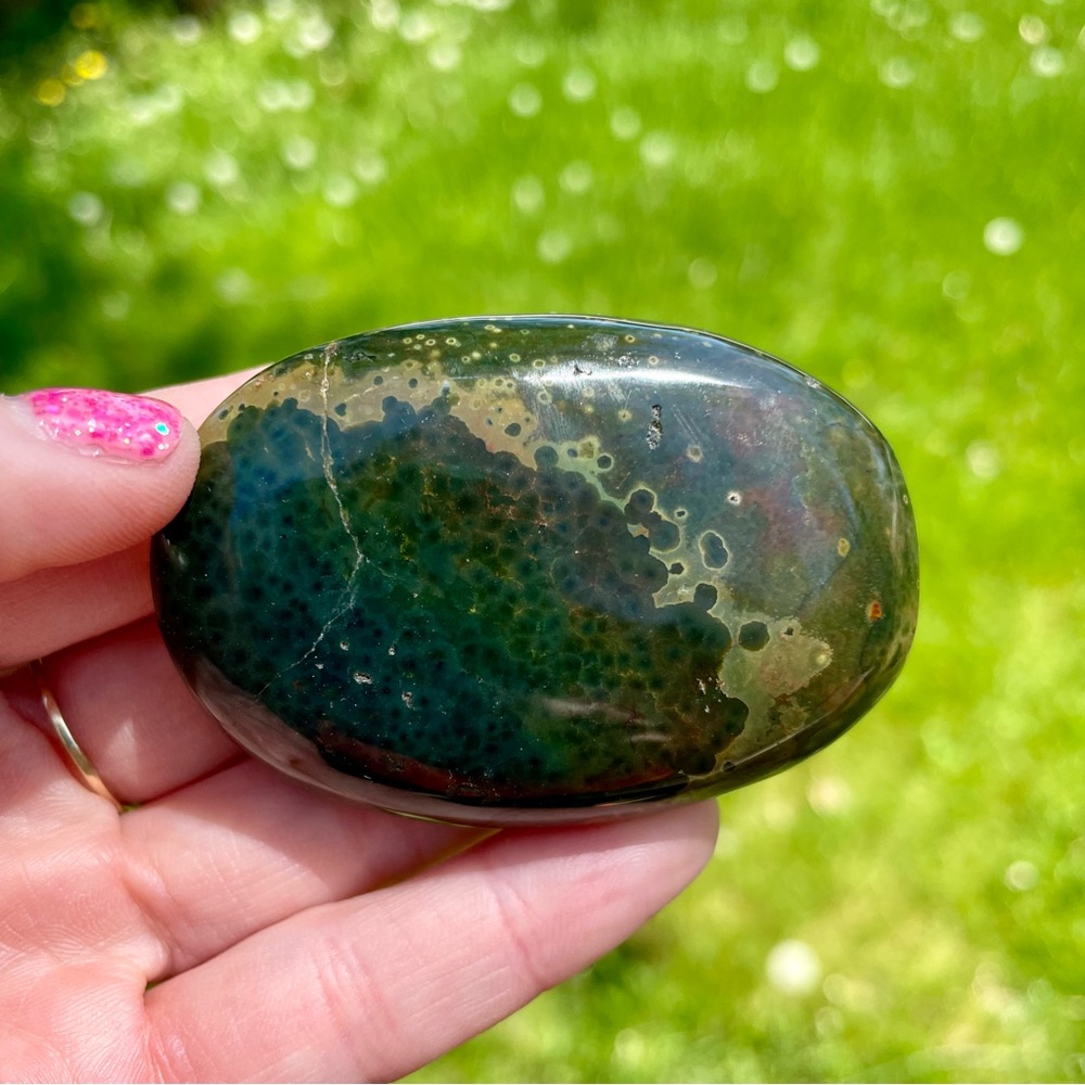 🐊Kabamba Ocean Jasper Palm Stone🐊